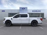 New 2025 Ford F150 XLT w/ Equipment Group 303A High image 3