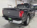 New 2025 Ford F150 XLT w/ Equipment Group 301A Standard image 5