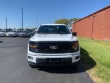 New 2024 Ford F150 XLT w/ Equipment Group 303A High image 3