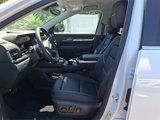 New 2026 GMC Terrain Denali image 6