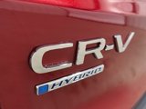 New 2025 Honda CR-V Sport image 5