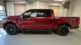 New 2025 Ford F150 XLT w/ Equipment Group 302A MID image 5