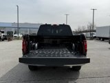 New 2025 Ford F150 XLT w/ Equipment Group 302A MID image 5