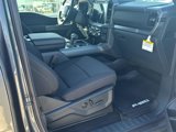 New 2025 Ford F150 XLT w/ Equipment Group 302A MID image 5