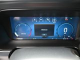 New 2025 Ford F250 Platinum image 4