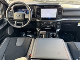 New 2025 Ford F150 Raptor image 5