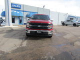 New 2025 Ford F150 XLT w/ Equipment Group 302A MID image 2