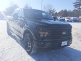New 2025 Ford F150 XLT w/ Equipment Group 302A MID image 2