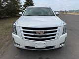 Used 2019 Cadillac Escalade Luxury image 5