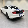 Used 2016 Ford Mustang Shelby GT350 w/ Technology Package image 3