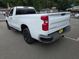 Used 2024 Chevrolet Silverado 1500 W/T w/ WT Fleet Convenience Package image 4