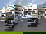 New 2025 Ford F250 4x4 Crew Cab Super Duty image 2