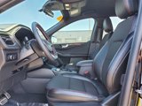 Used 2023 Ford Escape ST-Line Select image 4