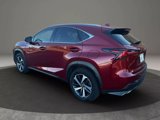 Used 2019 Lexus NX 300 F Sport image 6