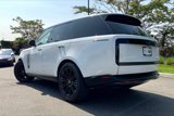 Used 2025 Land Rover Range Rover SE image 3