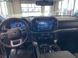 New 2025 Ford F150 XLT w/ Equipment Group 302A MID image 3