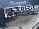Used 2019 Ford F150 XLT w/ Equipment Group 301A Mid image 3