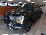 Certified 2022 Ford F150 XLT w/ Equipment Group 302A High image 2