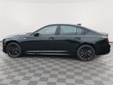 New 2025 Cadillac CT5 V w/ LPO, Red Accent Package image 3