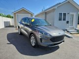 Used 2022 Ford Escape SE w/ Cold Weather Package image 2