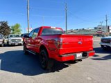 Used 2013 Ford F150 FX4 image 3