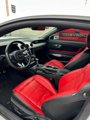 Used 2022 Ford Mustang GT Premium w/ Equipment Group 401A image 5
