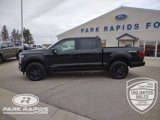 New 2025 Ford F150 Platinum w/ Equipment Group 702A High image 2