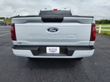New 2025 Ford F150 STX w/ Equipment Group 200A image 6