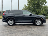 Used 2025 Honda CR-V EX-L image 6