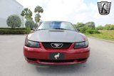 Used 2000 Ford Mustang Coupe image 2