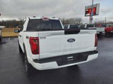 New 2025 Ford F150 STX w/ Equipment Group 200A image 4