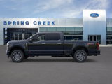 New 2025 Ford F250 Platinum image 2