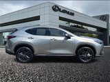 New 2025 Lexus NX 450h+ AWD w/ Luxury Package image 3