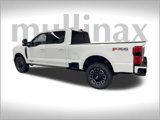New 2025 Ford F250 Platinum image 2