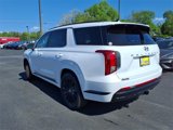 New 2025 Hyundai Palisade Calligraphy image 5