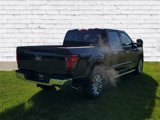 New 2025 Ford F150 XLT image 2