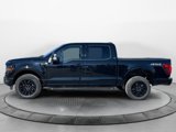New 2025 Ford F150 XLT w/ Equipment Group 303A High image 2