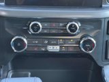 New 2025 Ford F150 XLT image 5