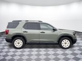New 2026 Honda Passport TrailSport Elite image 2