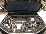 Used 2024 Honda Accord EX-L image 4