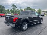 New 2024 Ford F150 XLT w/ Equipment Group 303A High image 5