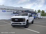 New 2025 Ford F250 Platinum image 2