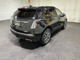 Used 2024 Cadillac XT5 Sportv image 4