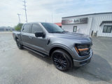 Used 2024 Ford F150 XLT image 3