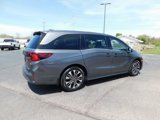 New 2025 Honda Odyssey Elite image 3