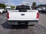 Used 2023 Ford F150 XLT w/ Equipment Group 301A Mid image 4