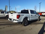 New 2025 Ford F150 STX w/ Equipment Group 200A image 3
