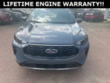 New 2025 Ford Escape ST-Line w/ Cold Weather Package image 3