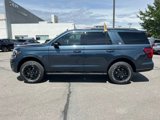 Certified 2024 Ford Expedition Timberline image 2