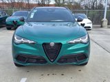 New 2025 Alfa Romeo Stelvio Tributo Italiano w/ Active Assist Plus Package image 5